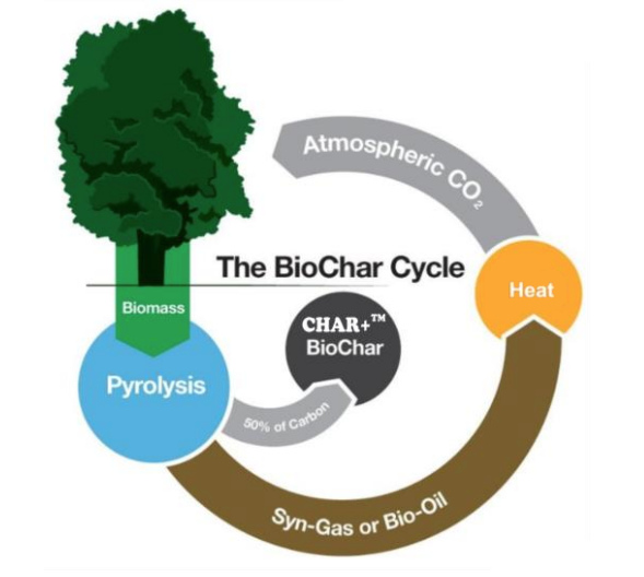 The BioChar cycle